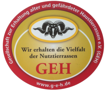 GEH Logo