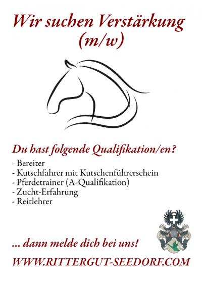 Wir suchen